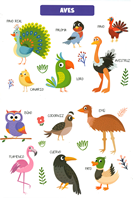 Aprendo palabras. Animales