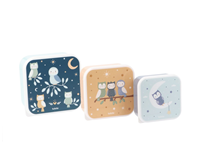 Set 3 cajas Almuerzo Magical Forest