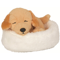 Perro Isi durmiendo en la camita Funny Animal Parade