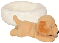 Perro Isi durmiendo en la camita Funny Animal Parade