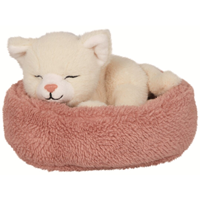 Gato Penny durmiendo en la Camita Funny Animal Parade