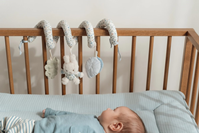 Espiral actividades Miffy Blossom