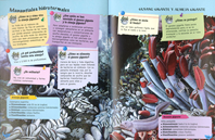 500 preguntas y respuestas sobre animales marinos